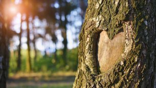 Holzhacker Liebe